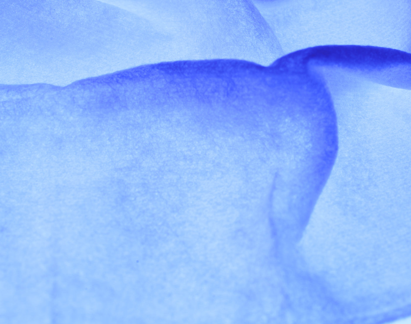 Active Peel System